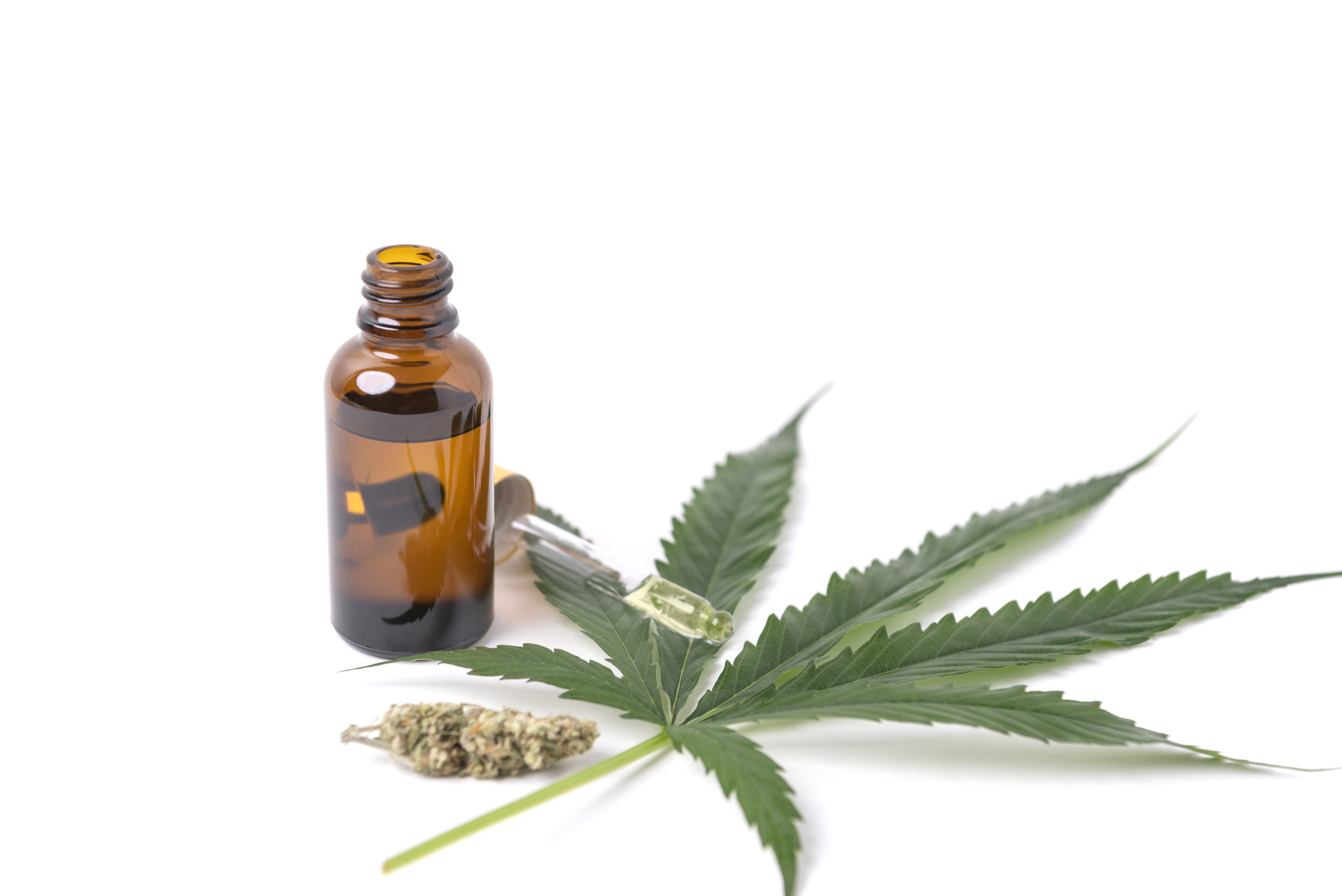 Cannabis Medicinal para exportación